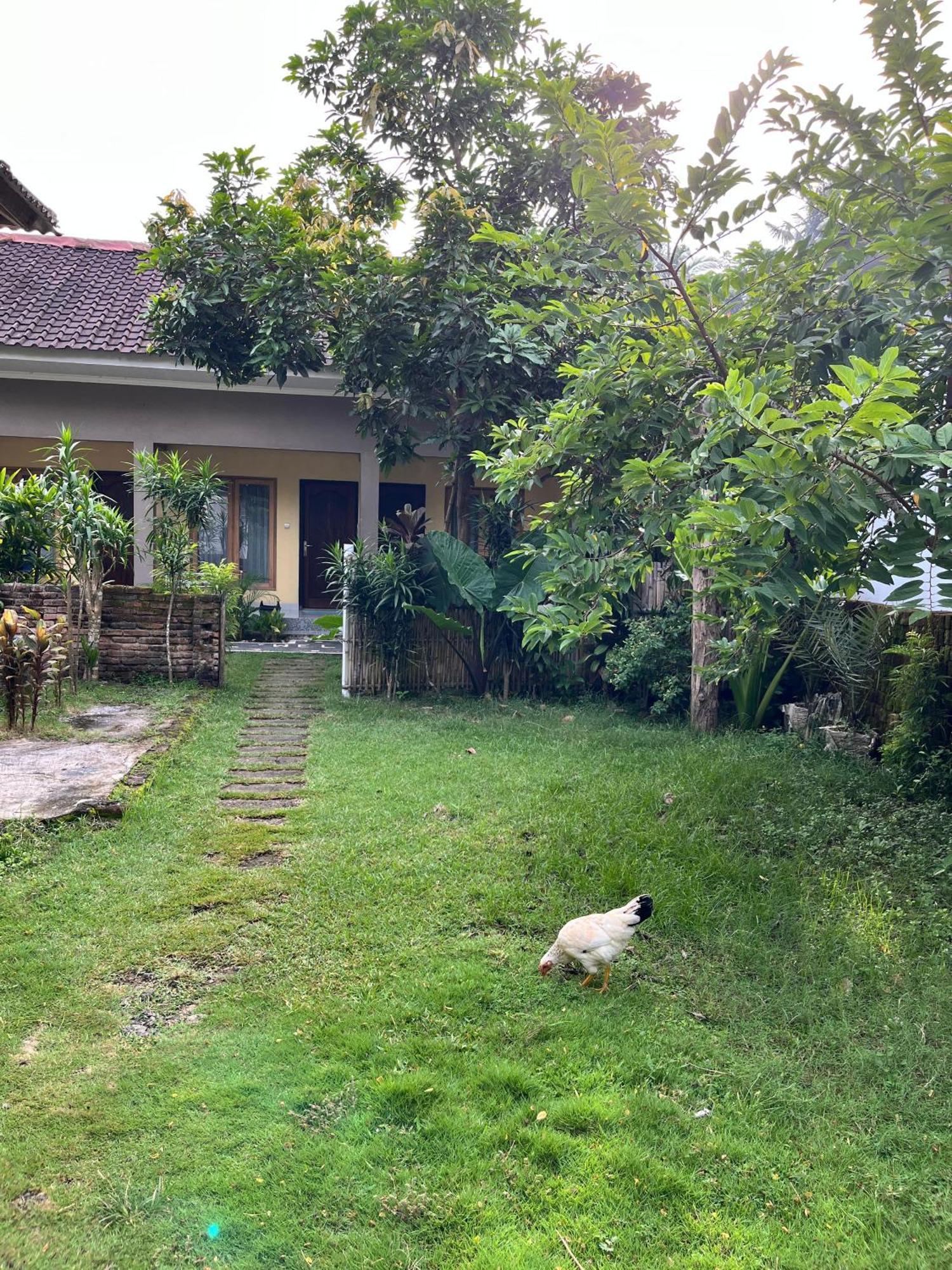 Honey Home Kuta  ภายนอก รูปภาพ