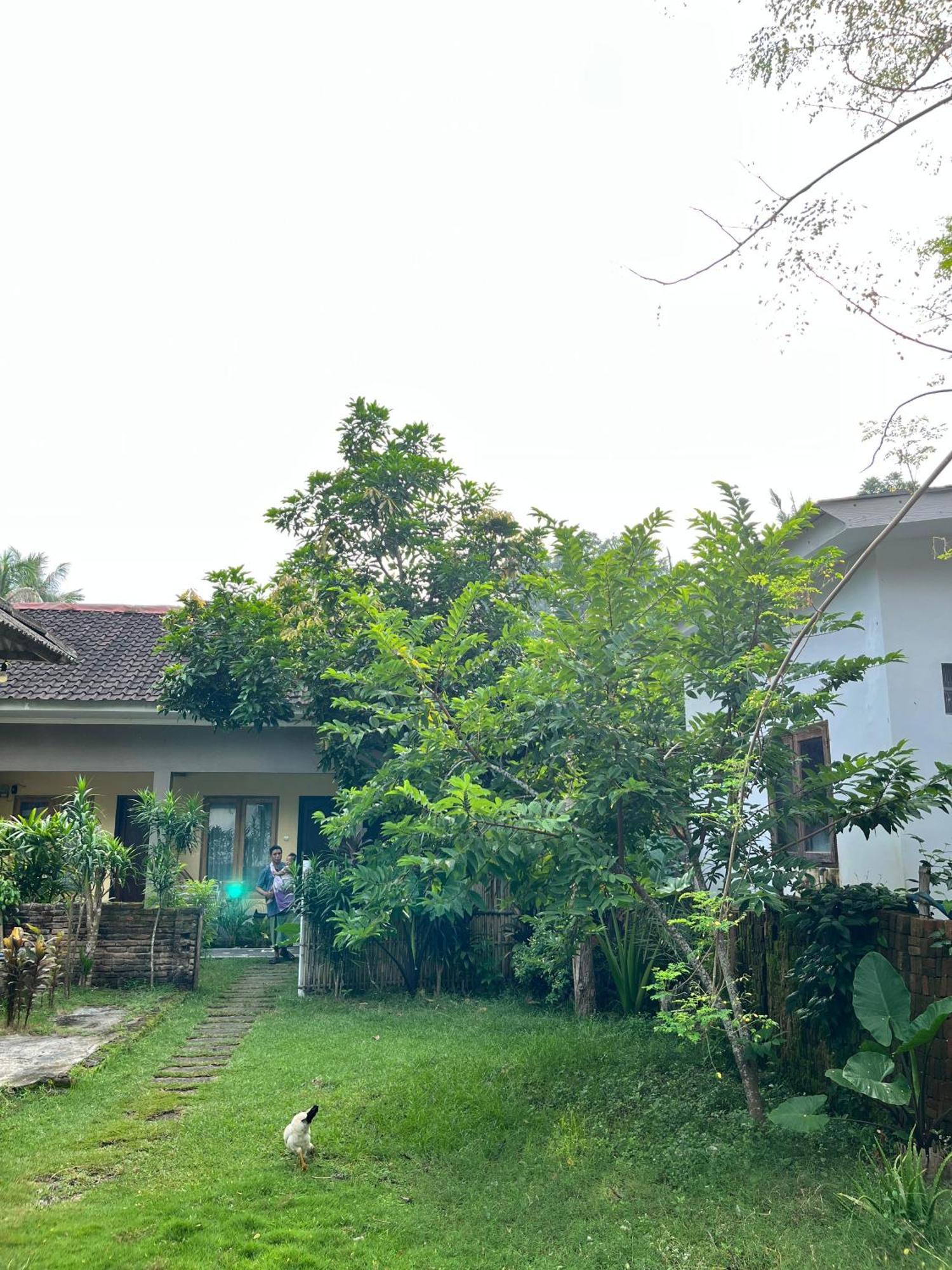 Honey Home Kuta  ภายนอก รูปภาพ